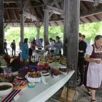 IMG_00007