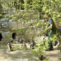 Hellabrunn Tierpark 2024