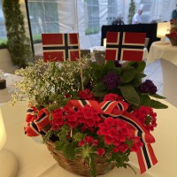 IMG_7175