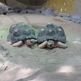 hellabrunn_10