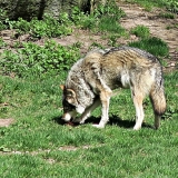 hellabrunn_16