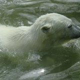 hellabrunn_17