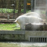 hellabrunn_18