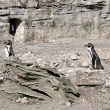 hellabrunn_20