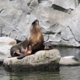 hellabrunn_21