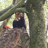 hellabrunn_22