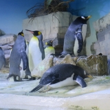 hellabrunn_24