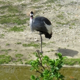 hellabrunn_5